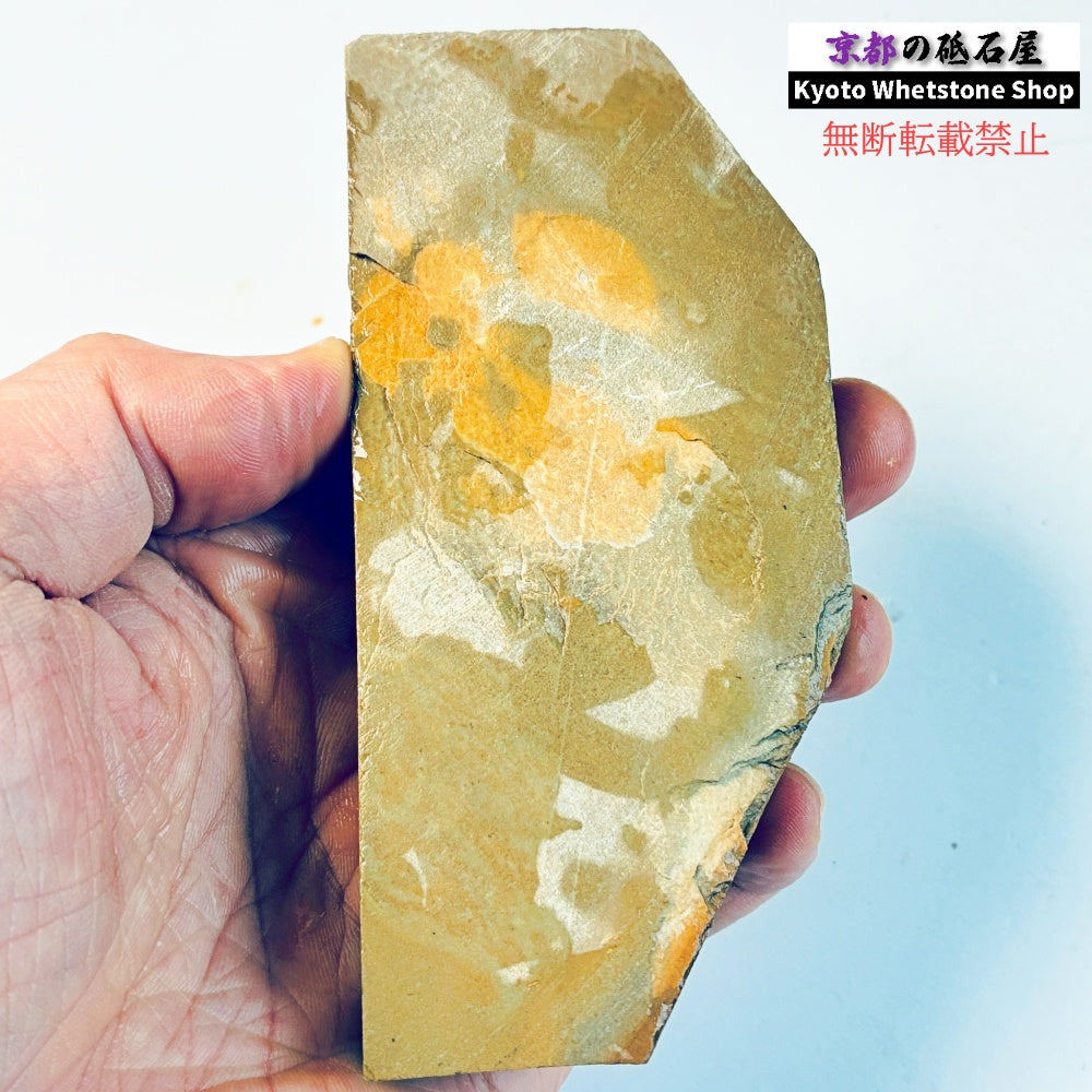 220g 硬さ硬め 巣板 中山合砥 正本山 京都 天然砥石