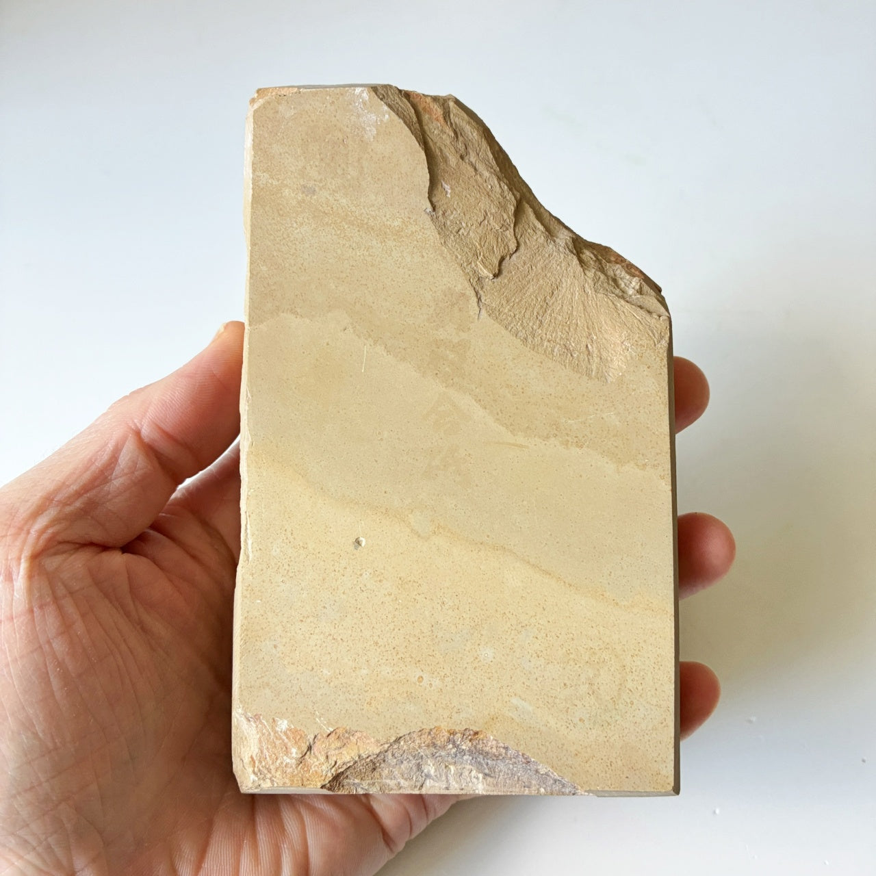 610g 奥殿合砥  正本山 京都 天然砥石