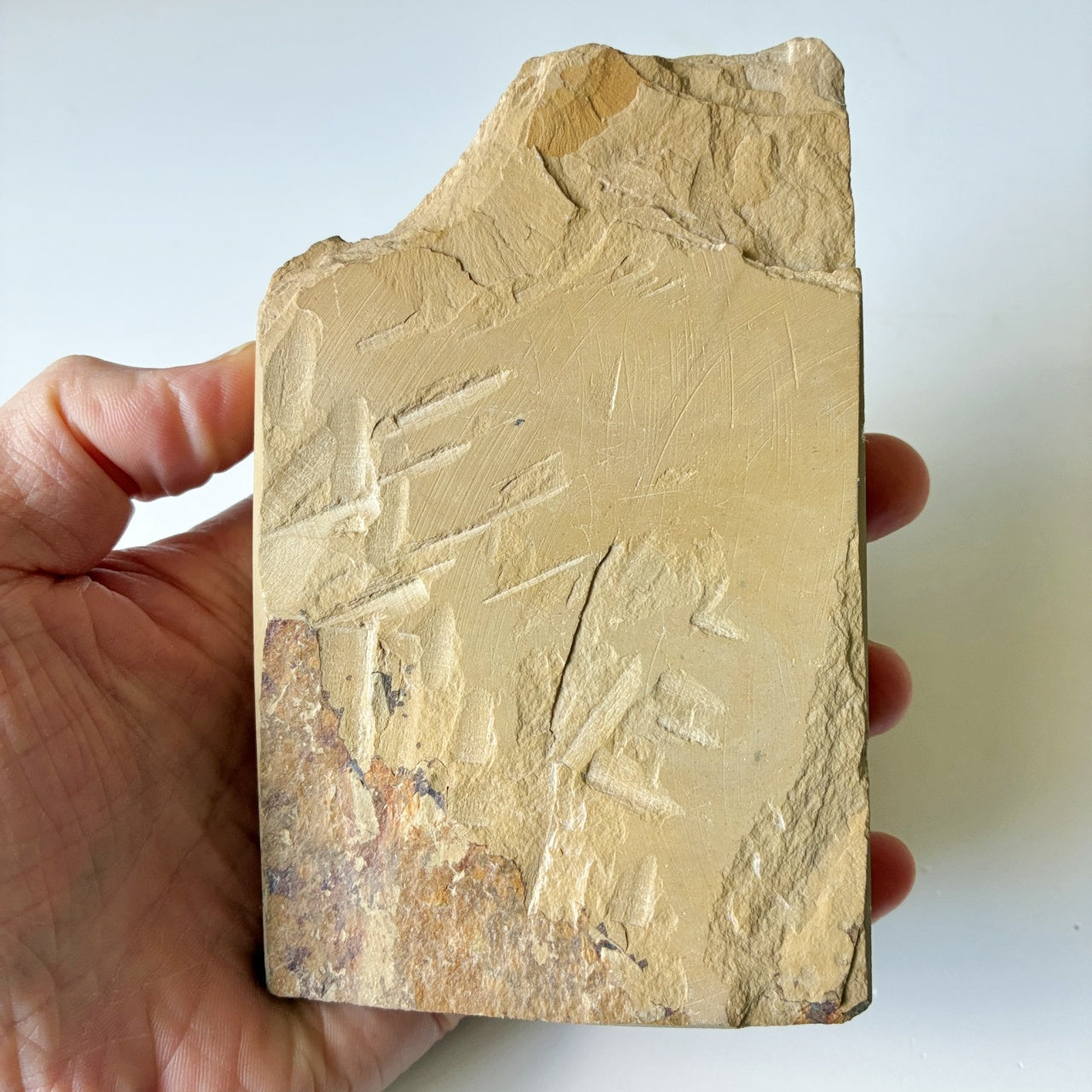 610g 奥殿合砥  正本山 京都 天然砥石