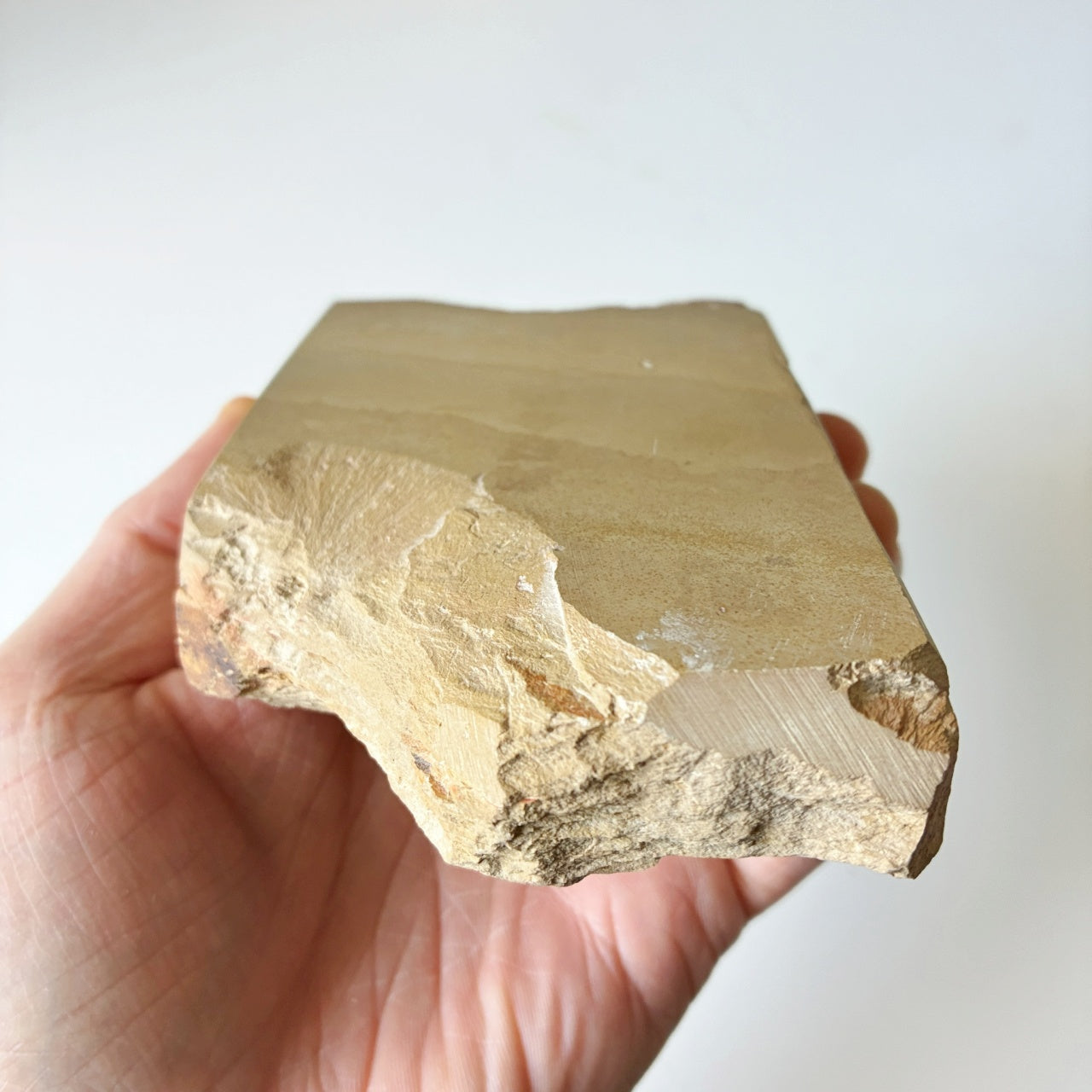 610g 奥殿合砥  正本山 京都 天然砥石