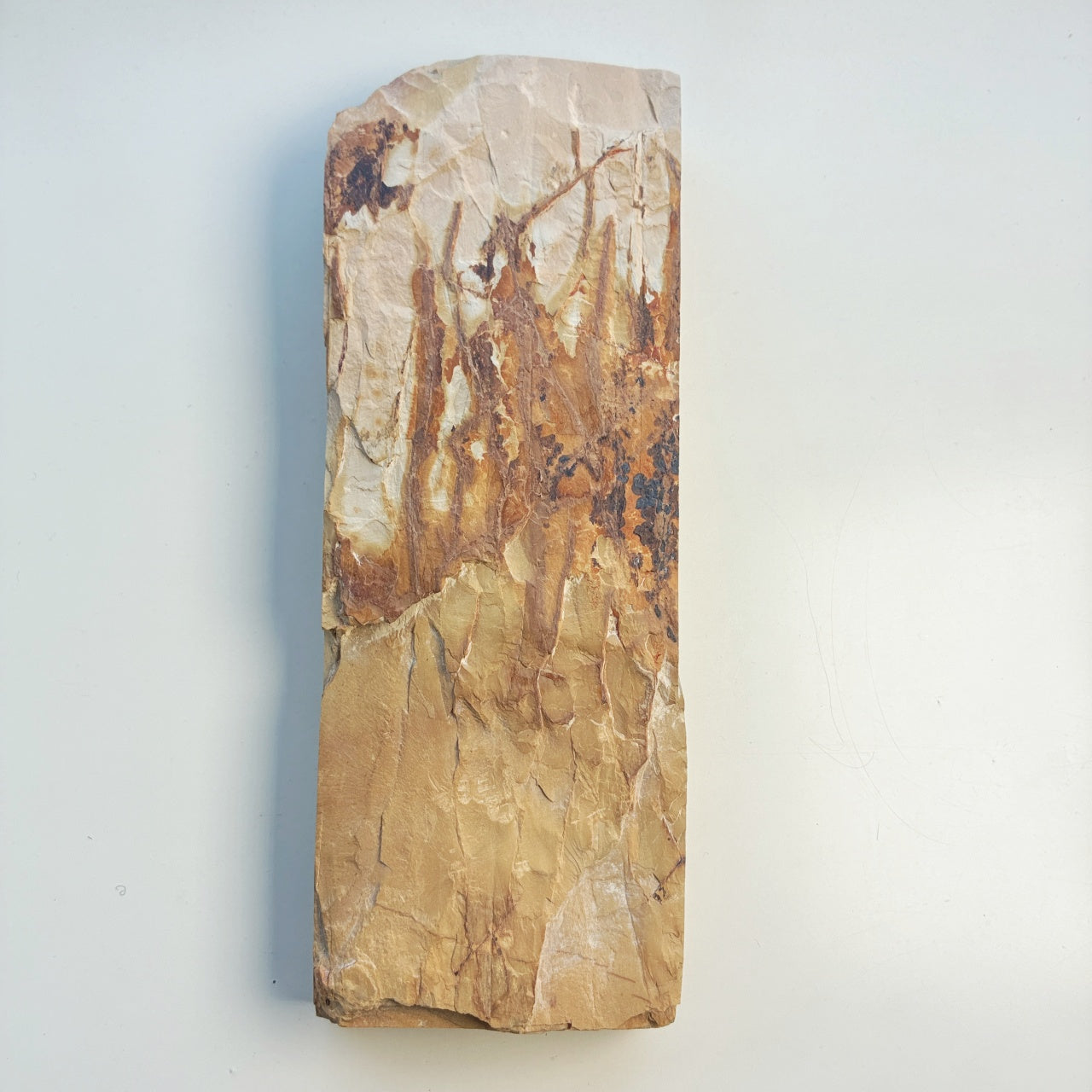 1280g 硬さ2  水木原合砥 正本山 京都 天然砥石