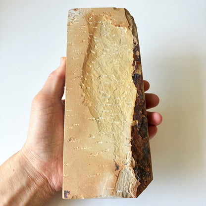 1560g 硬さ3 巣板 中山合砥  正本山 京都 天然砥石