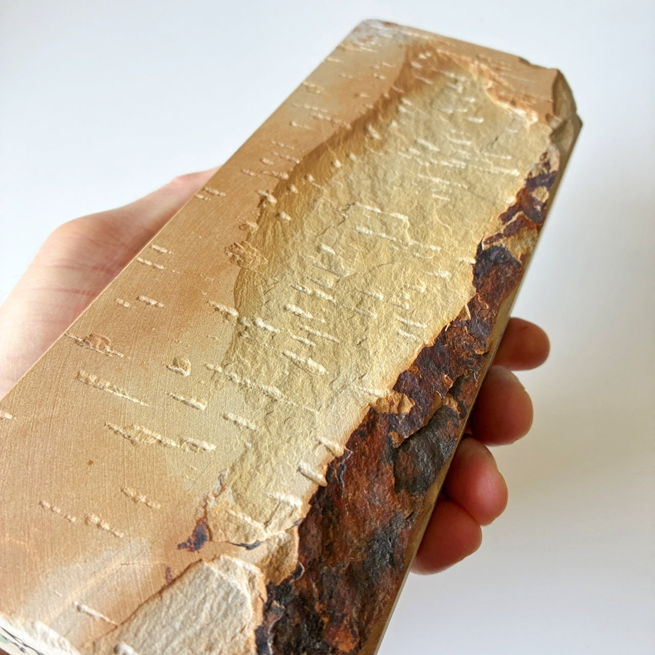 1560g 硬さ3 巣板 中山合砥  正本山 京都 天然砥石