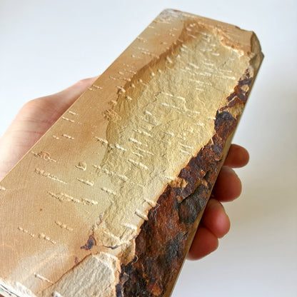 1560g 硬さ3 巣板 中山合砥  正本山 京都 天然砥石