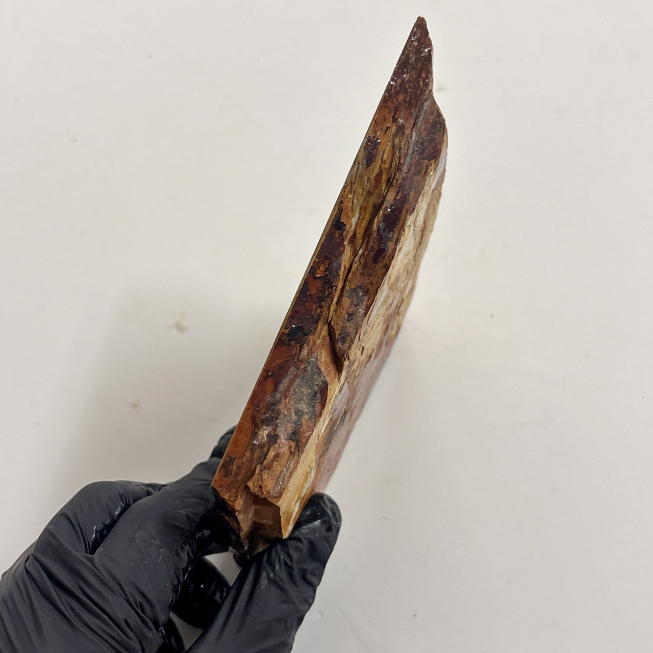 260g 硬さ3 巣板 中山合砥  正本山 京都 天然砥石