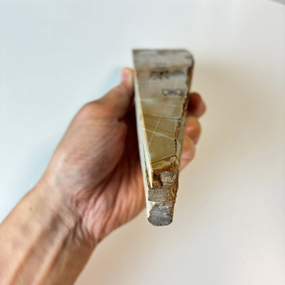 860g 硬さ3 巣板 中山合砥  正本山 京都 天然砥石