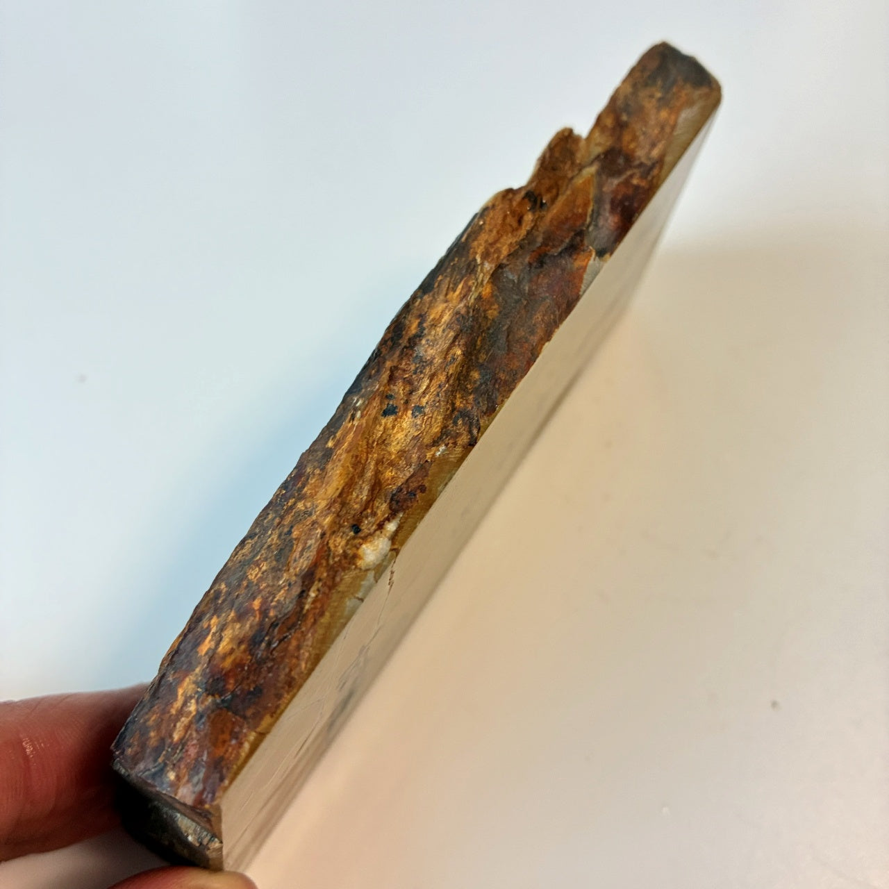 345g 硬さ3 巣板 中山合砥  正本山 京都 天然砥石