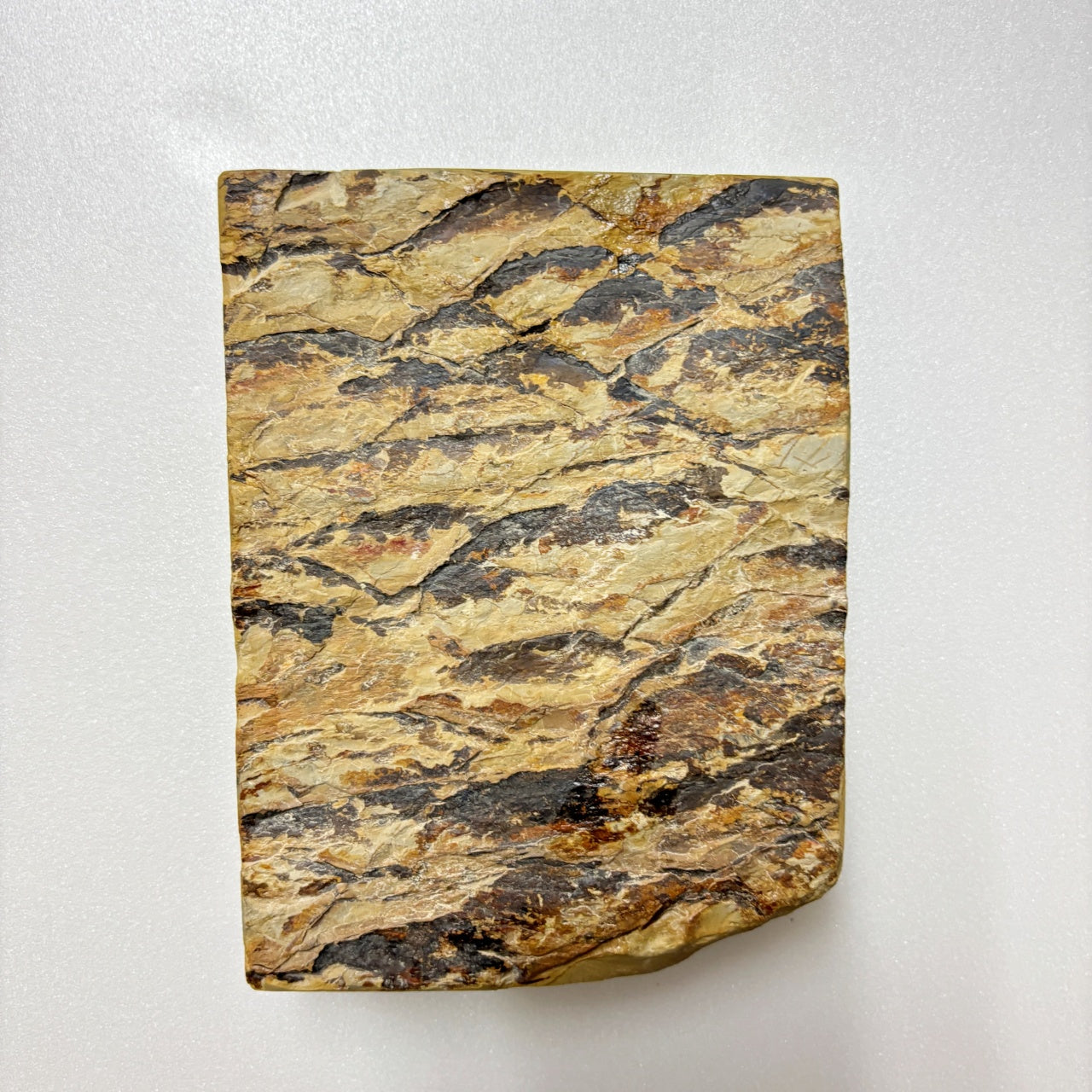 760g 硬さ3 巣板 蓮華 日照山合砥  正本山 京都 天然砥石