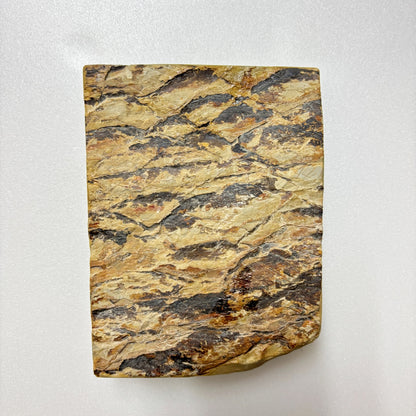 760g 硬さ3 巣板 蓮華 日照山合砥  正本山 京都 天然砥石