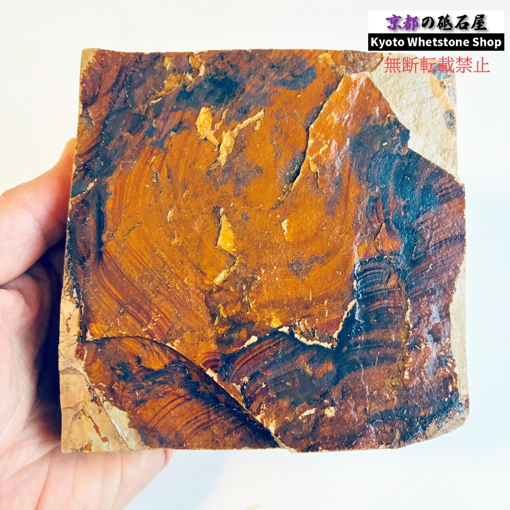 825g 硬さ3.5～4.0 巣板 中山合砥  正本山 京都 天然砥石