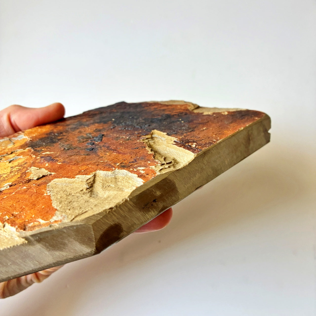 軟めの大サイズ 1040g 硬さ3 巣板 中山合砥  正本山 京都 天然砥石