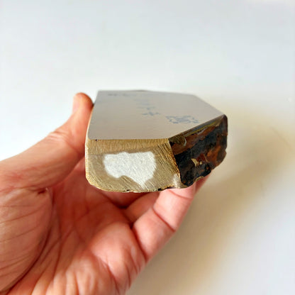 光沢強め 350g 硬さ4 巣板 中山合砥  正本山 京都 天然砥石