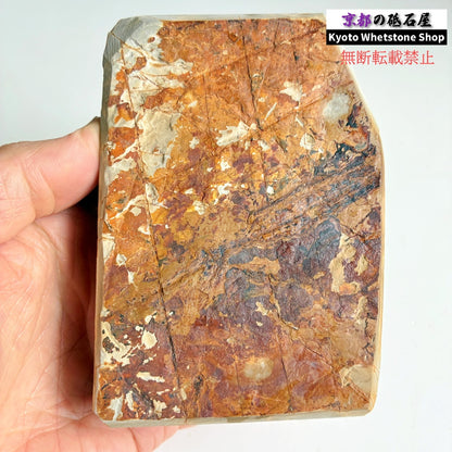 595g 硬さ4 巣板 中山合砥  正本山 京都 天然砥石