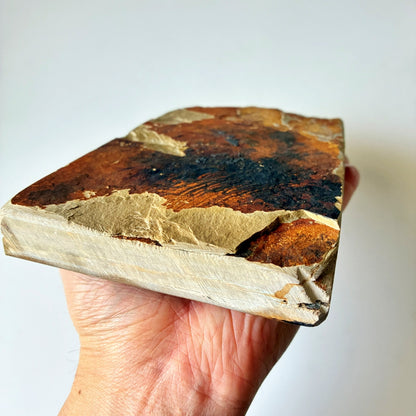 軟めの大サイズ 1040g 硬さ3 巣板 中山合砥  正本山 京都 天然砥石