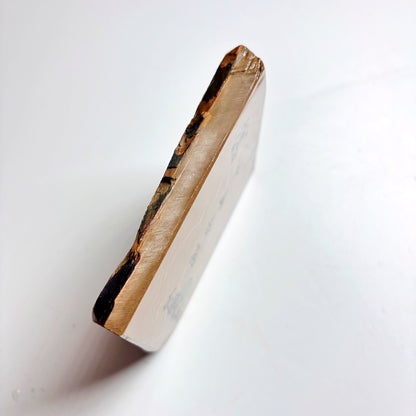 290g 硬さ4 巣板 中山合砥  正本山 京都 天然砥石