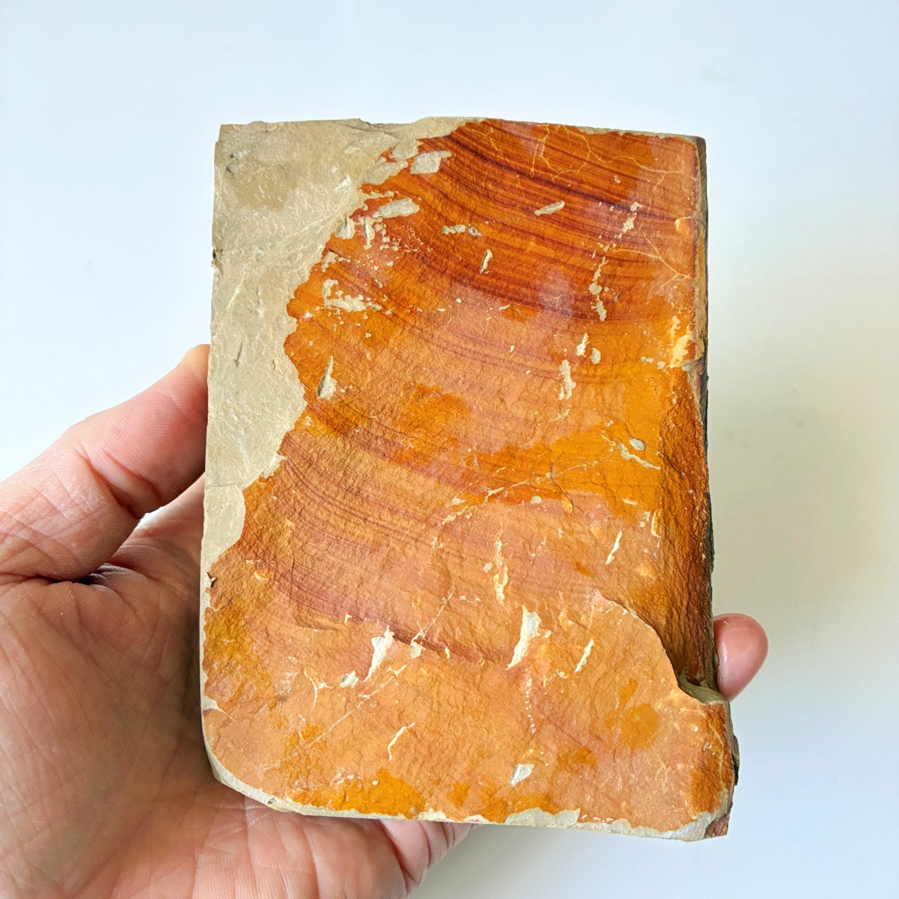 520g 硬さ4 巣板 中山合砥  正本山 京都 天然砥石