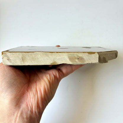 軟めの大サイズ 1040g 硬さ3 巣板 中山合砥  正本山 京都 天然砥石