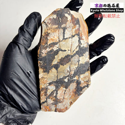 200g 硬さ硬め 巣板 中山合砥  正本山 京都 天然砥石