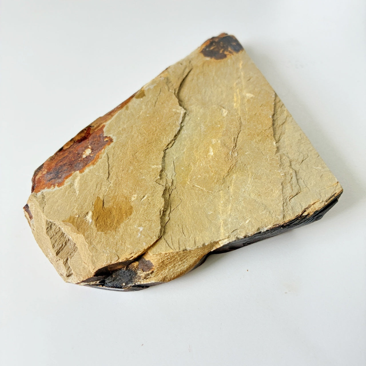 245g 硬さ4 巣板 中山合砥  正本山 京都 天然砥石