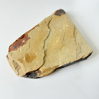 245g 硬さ4 巣板 中山合砥  正本山 京都 天然砥石