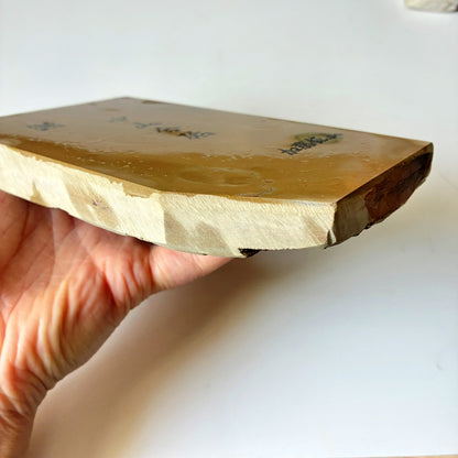 軟めの大サイズ 1040g 硬さ3 巣板 中山合砥  正本山 京都 天然砥石