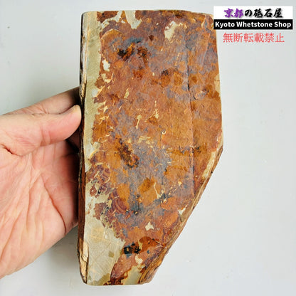 585g 硬さ4 戸前 中山合砥  正本山 京都 天然砥石