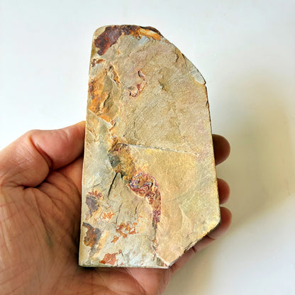 光沢強め 350g 硬さ4 巣板 中山合砥  正本山 京都 天然砥石