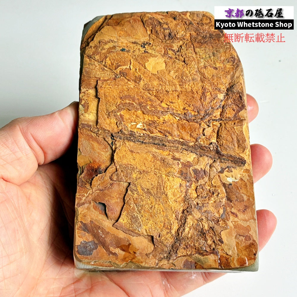 580g 硬さ3.0～3.5 巣板 中山合砥  正本山 京都 天然砥石