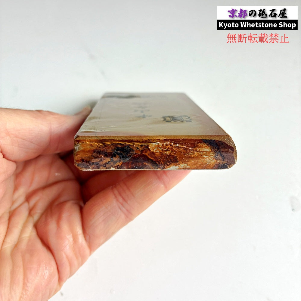 230g 硬さ4 巣板 中山合砥  正本山 京都 天然砥石