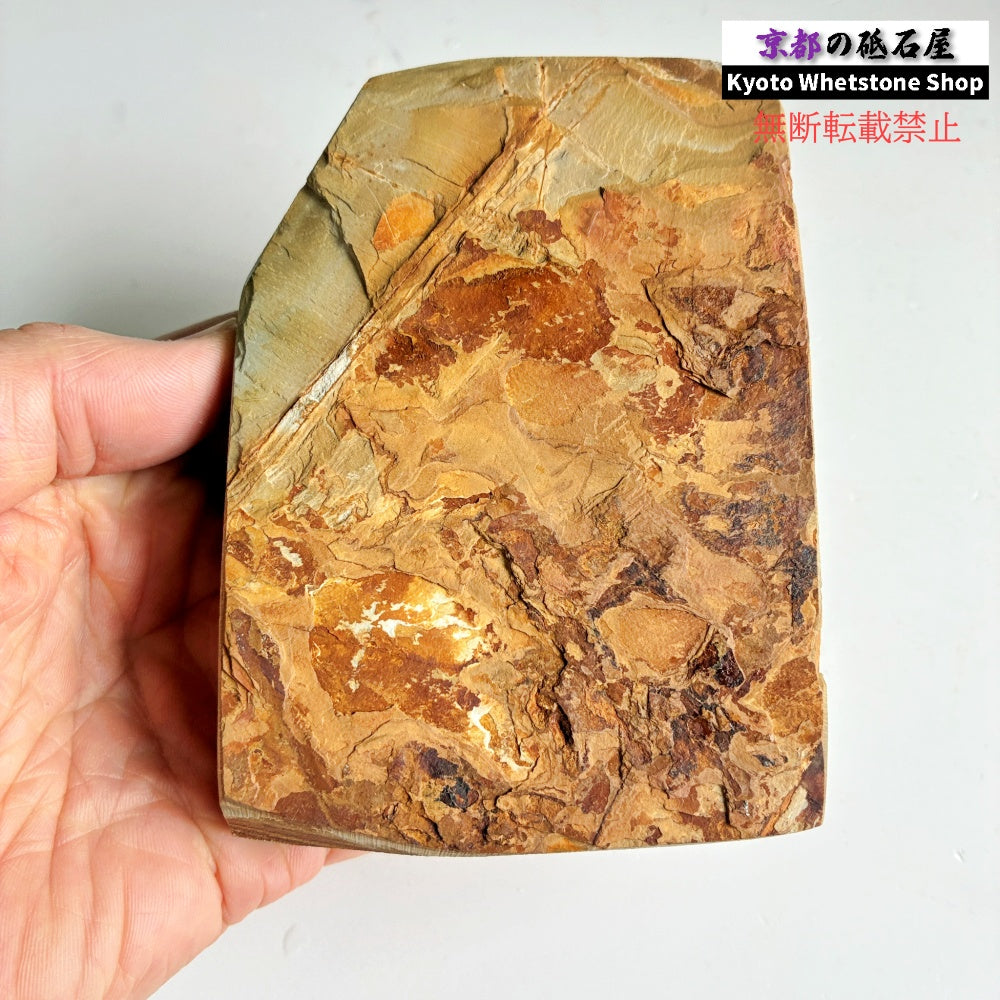 525g 硬さ4 巣板 中山合砥  正本山 京都 天然砥石