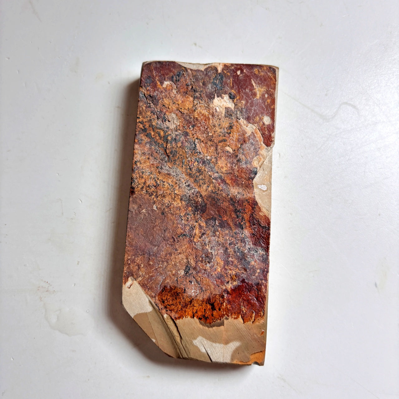 200g 硬さ4 巣板 中山合砥  正本山 京都 天然砥石