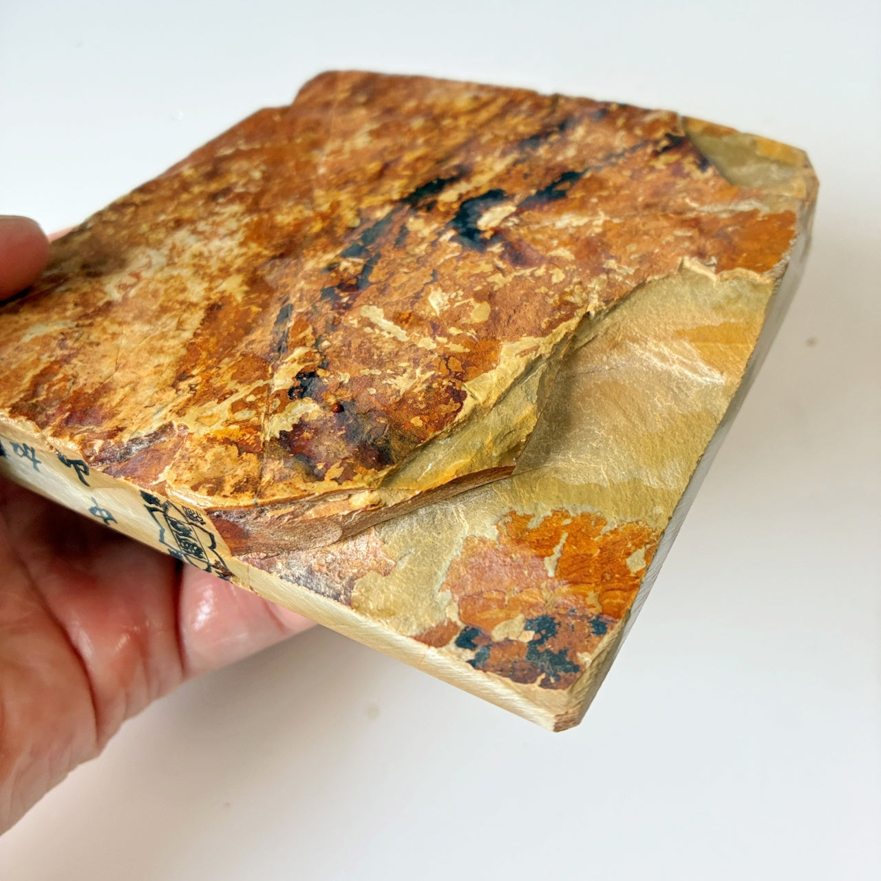 環模様 565g 硬さ4 巣板 中山合砥  正本山 京都 天然砥石