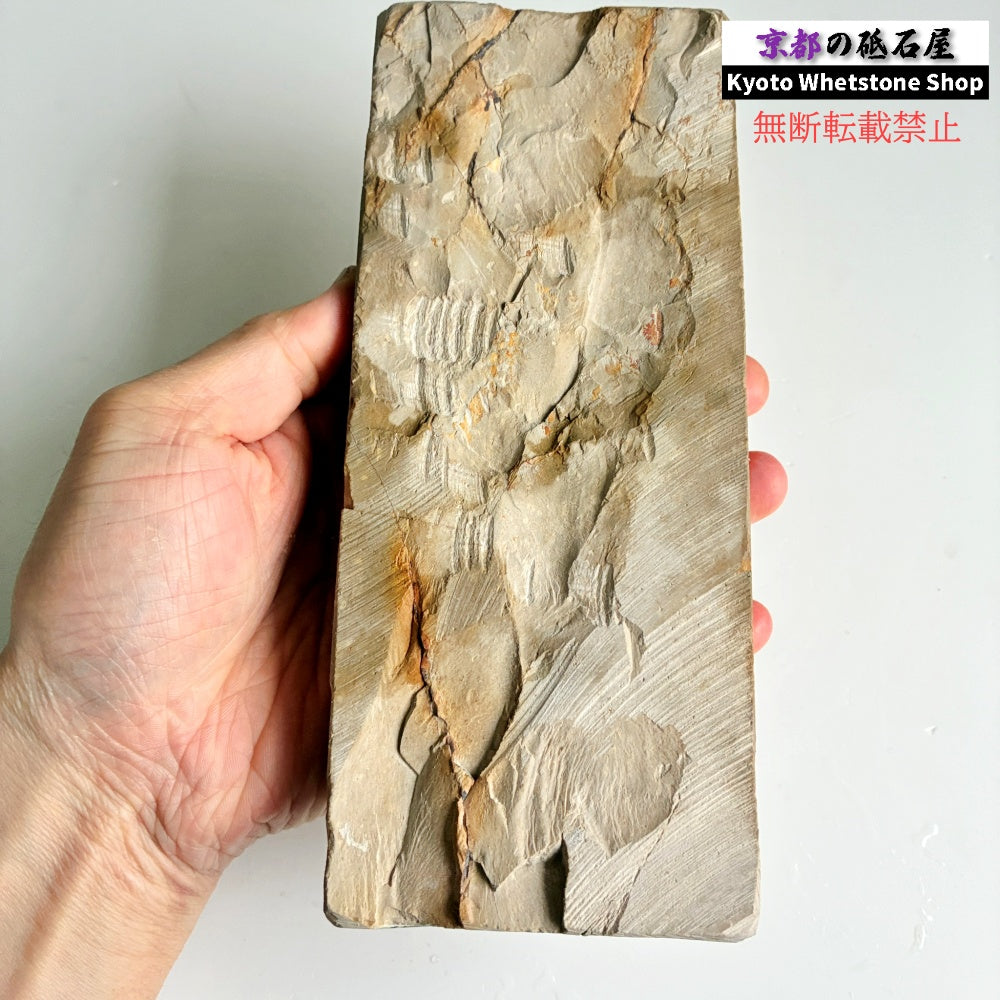 24型 レア 1150g 硬さ2.0～2.5 巣板 蓮華 日照山合砥  正本山 京都 天然砥石
