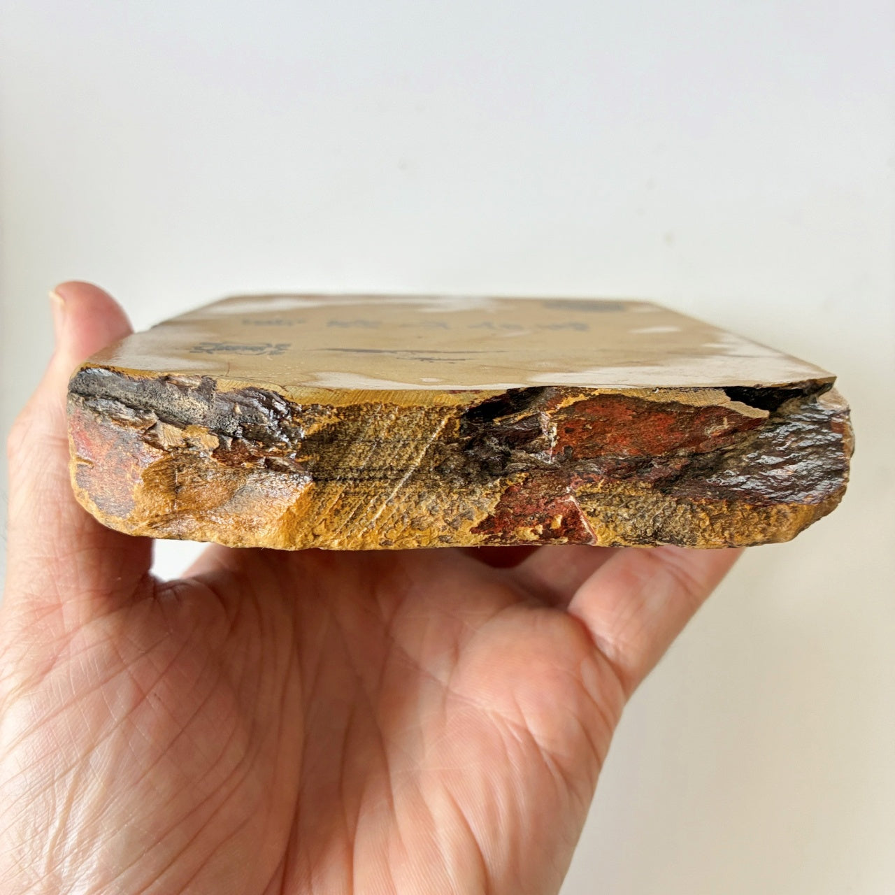 725g 硬さ3 巣板 馬路山合砥  正本山 京都 天然砥石