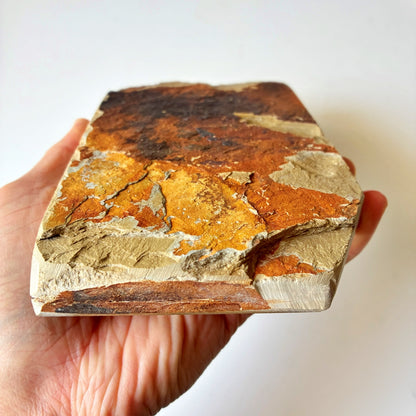 軟めの大サイズ 1040g 硬さ3 巣板 中山合砥  正本山 京都 天然砥石