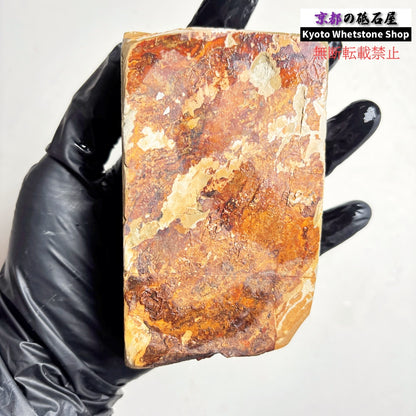 500g 硬さ硬め 巣板 中山合砥  正本山 京都 天然砥石