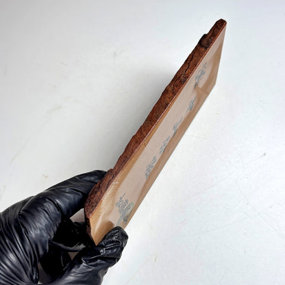 205g 硬さ4 巣板 中山合砥  正本山 京都 天然砥石