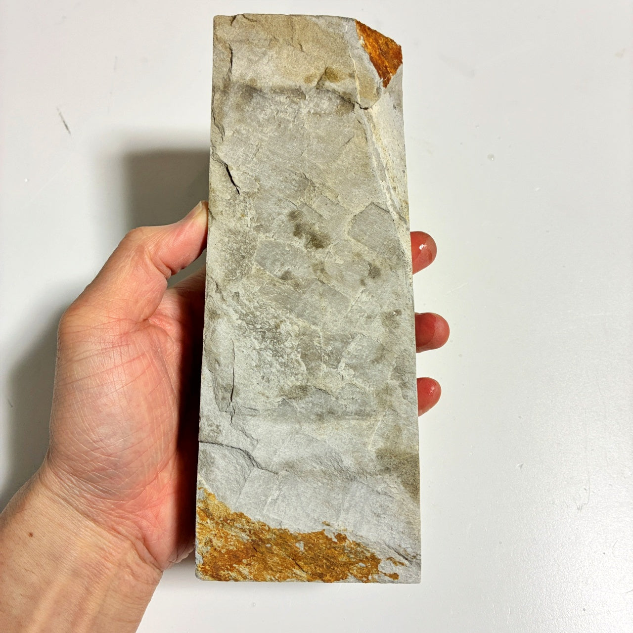 当店では珍しい白っぽさ 1550g 硬さ3.5 浅黄 八木ノ島合砥  正本山 京都 天然砥石