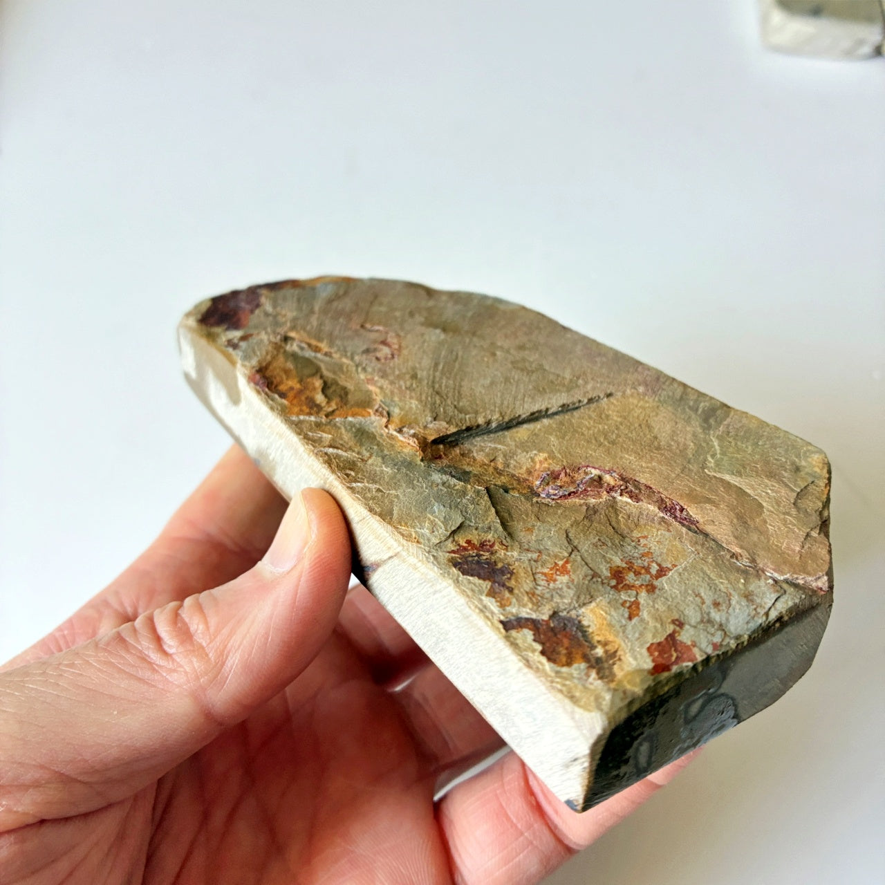 光沢強め 350g 硬さ4 巣板 中山合砥  正本山 京都 天然砥石