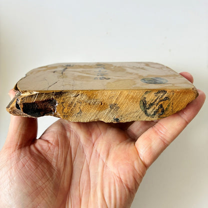 725g 硬さ3 巣板 馬路山合砥  正本山 京都 天然砥石