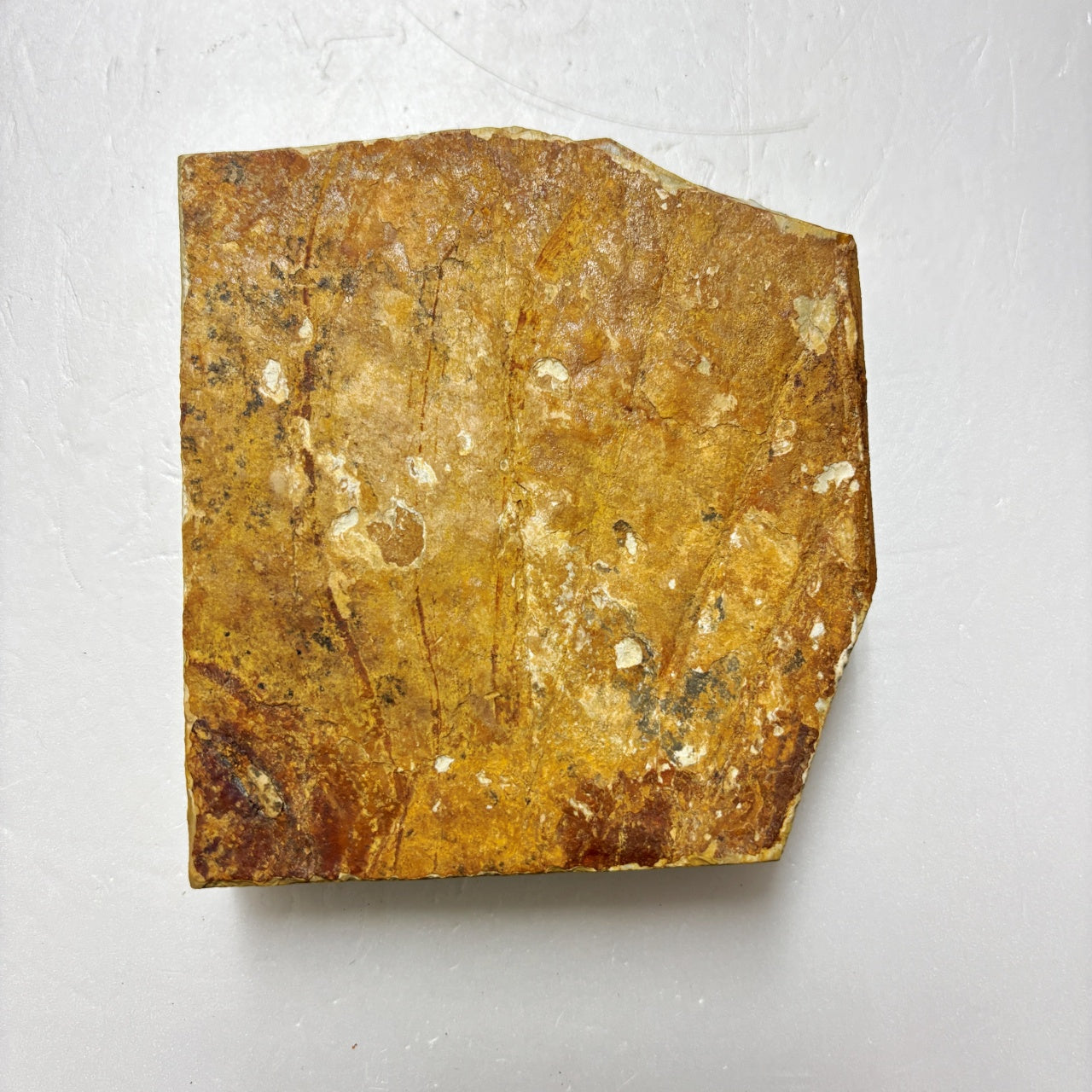 570g 硬さ4 巣板 中山合砥  正本山 京都 天然砥石