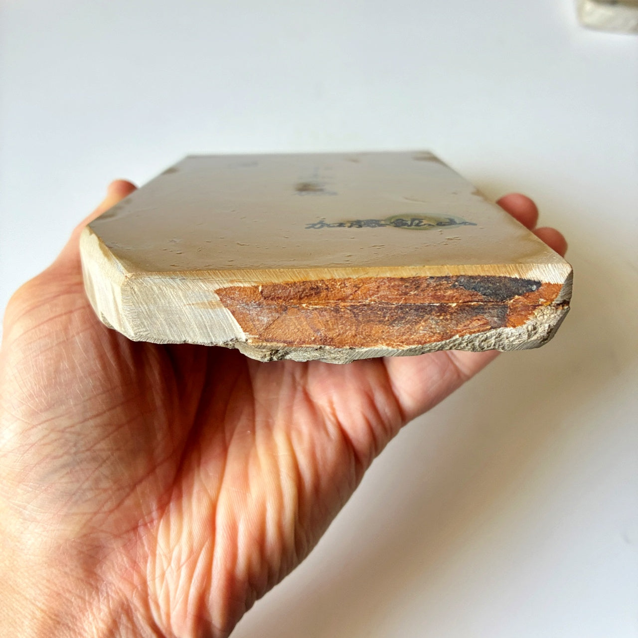 軟めの大サイズ 1040g 硬さ3 巣板 中山合砥  正本山 京都 天然砥石