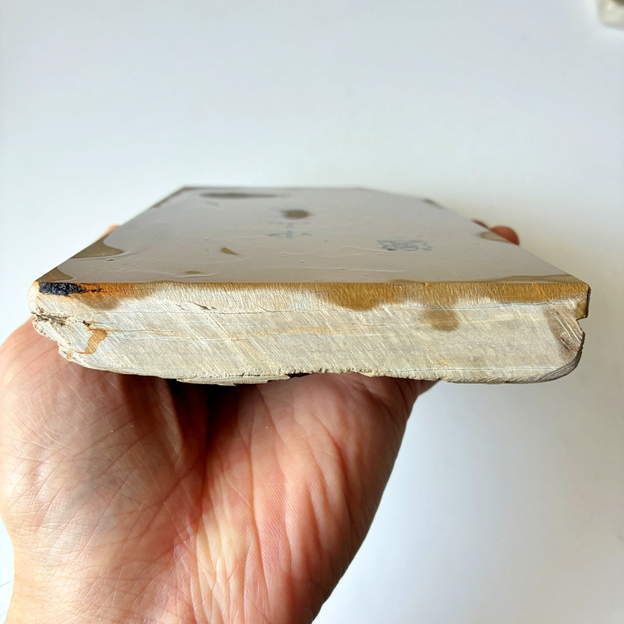 軟めの大サイズ 1040g 硬さ3 巣板 中山合砥  正本山 京都 天然砥石